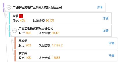 广西联智房地产营销策划有限责任公司 专业赋能，智领房地产营销新篇章
