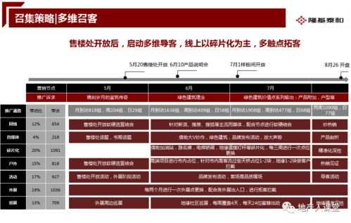房地产开盘前营销推广执行案
